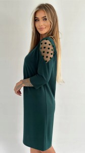 308dbecc8c6727e5da49855dd5ac8b93.jpg